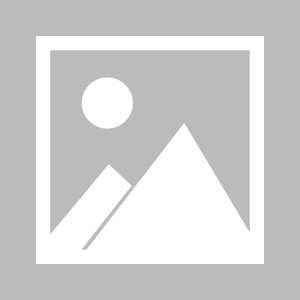 搜狐体育资讯-德国职业球员工会票选德甲赛季最佳阵容：拜仁8人入选